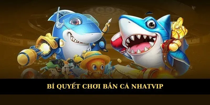 Bí quyết săn ngư chuyên nghiệp
