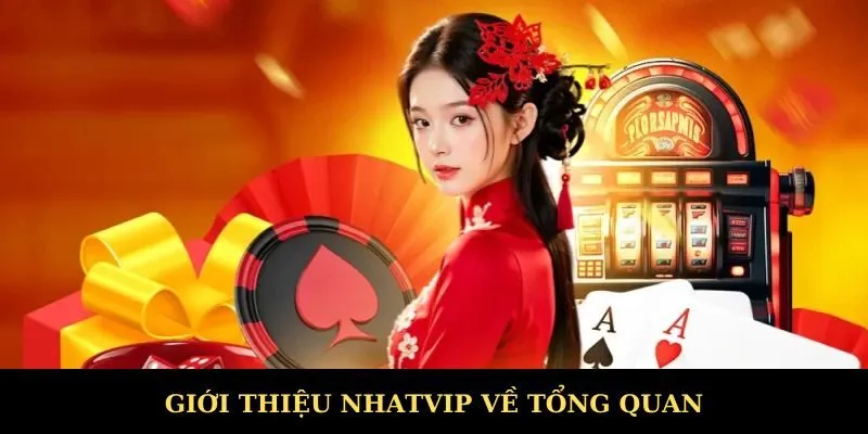 Giới thiệu Nhatvip về tổng quan