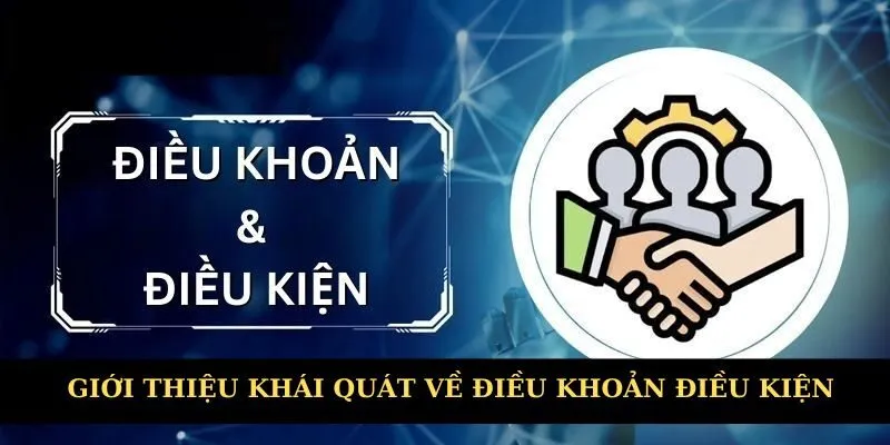 Giới thiệu khái quát về điều khoản điều kiện