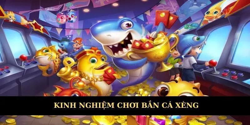 Trang bị kinh nghiệm săn ngư đỉnh cao