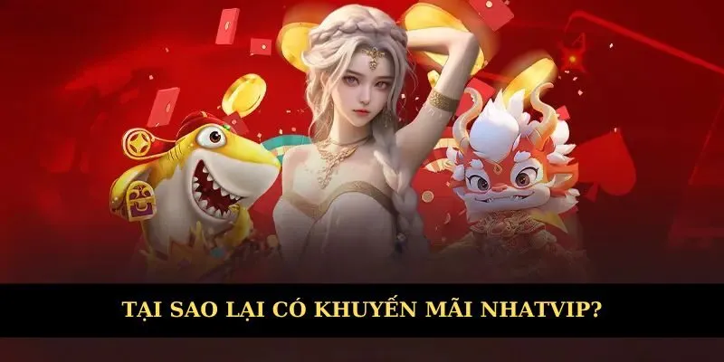 Tại sao lại có nhiều chương trình ưu đãi tại Nhatvip?