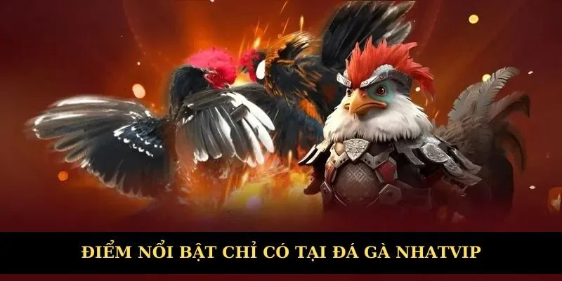 Điểm nổi bật chỉ có tại sân chơi chiến kê